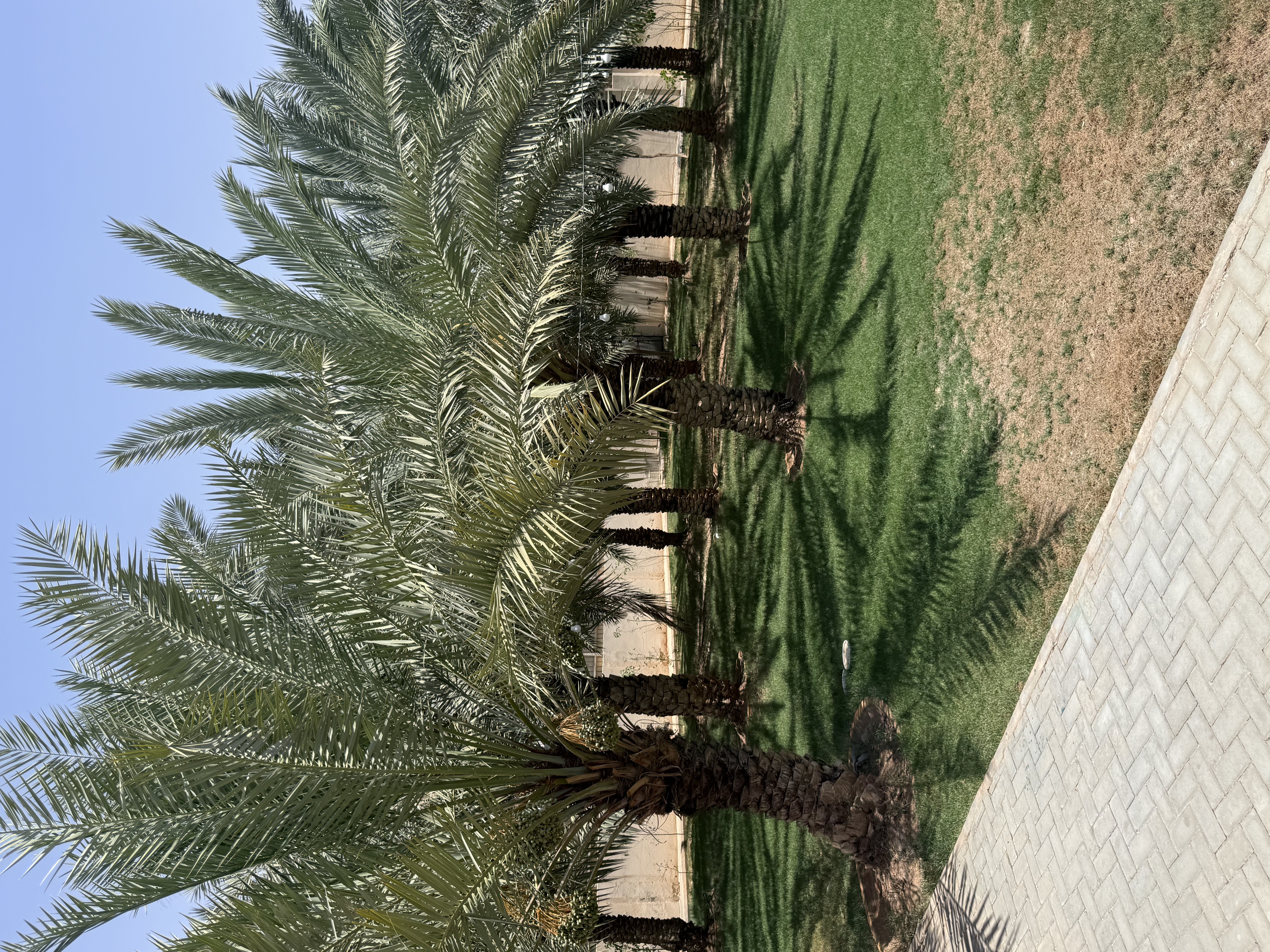 منتجع رونق