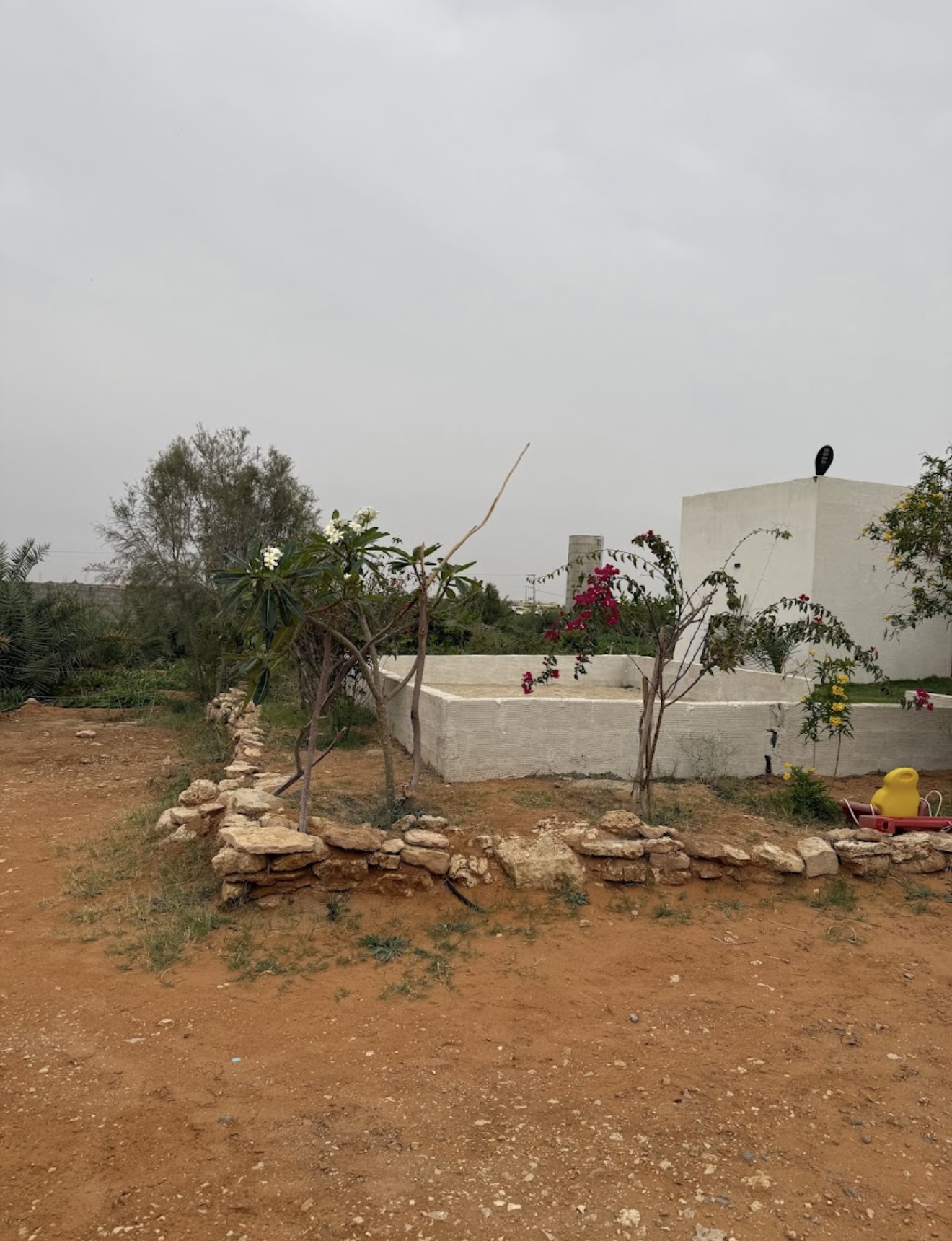 مزرعة الريم