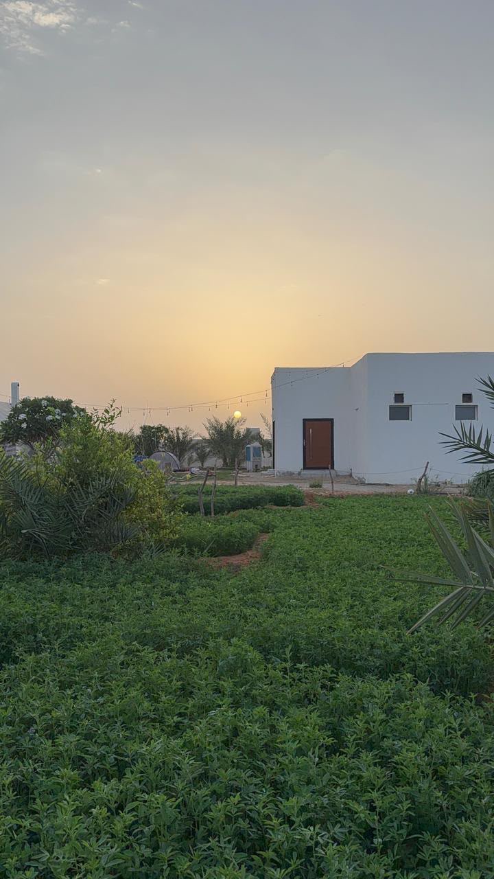 مزرعة الريم