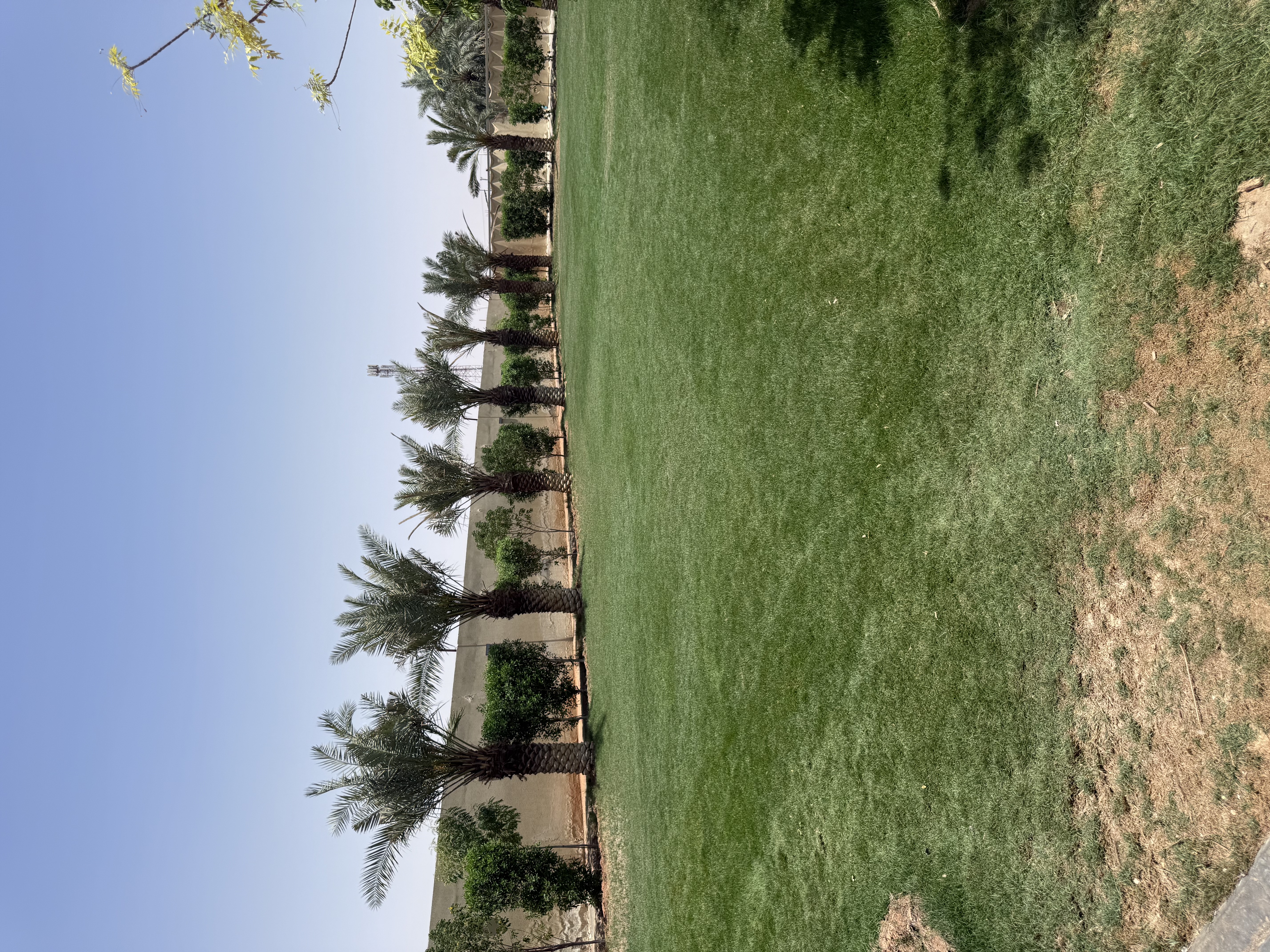 منتجع رونق