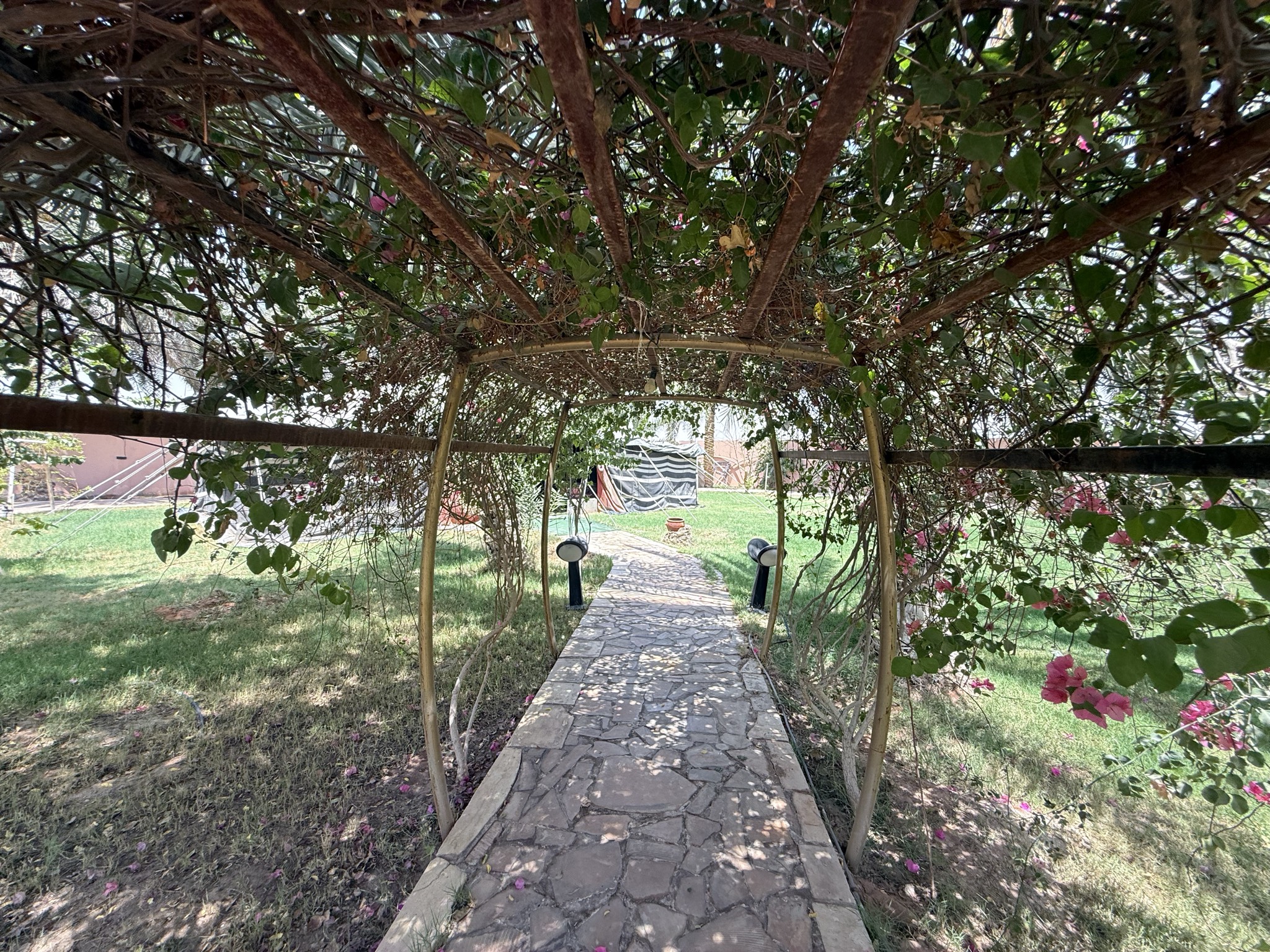 مزرعة