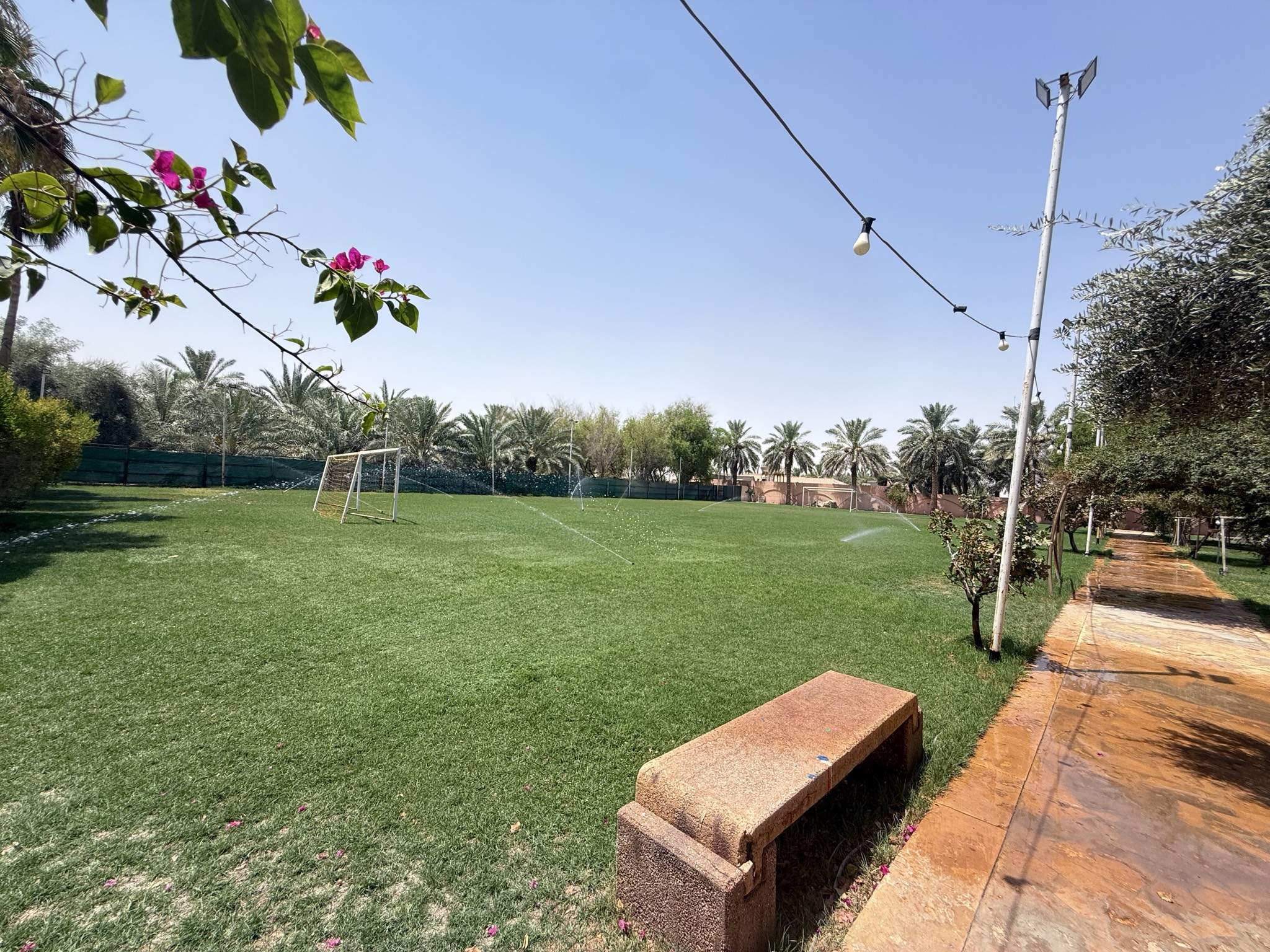 مزرعة