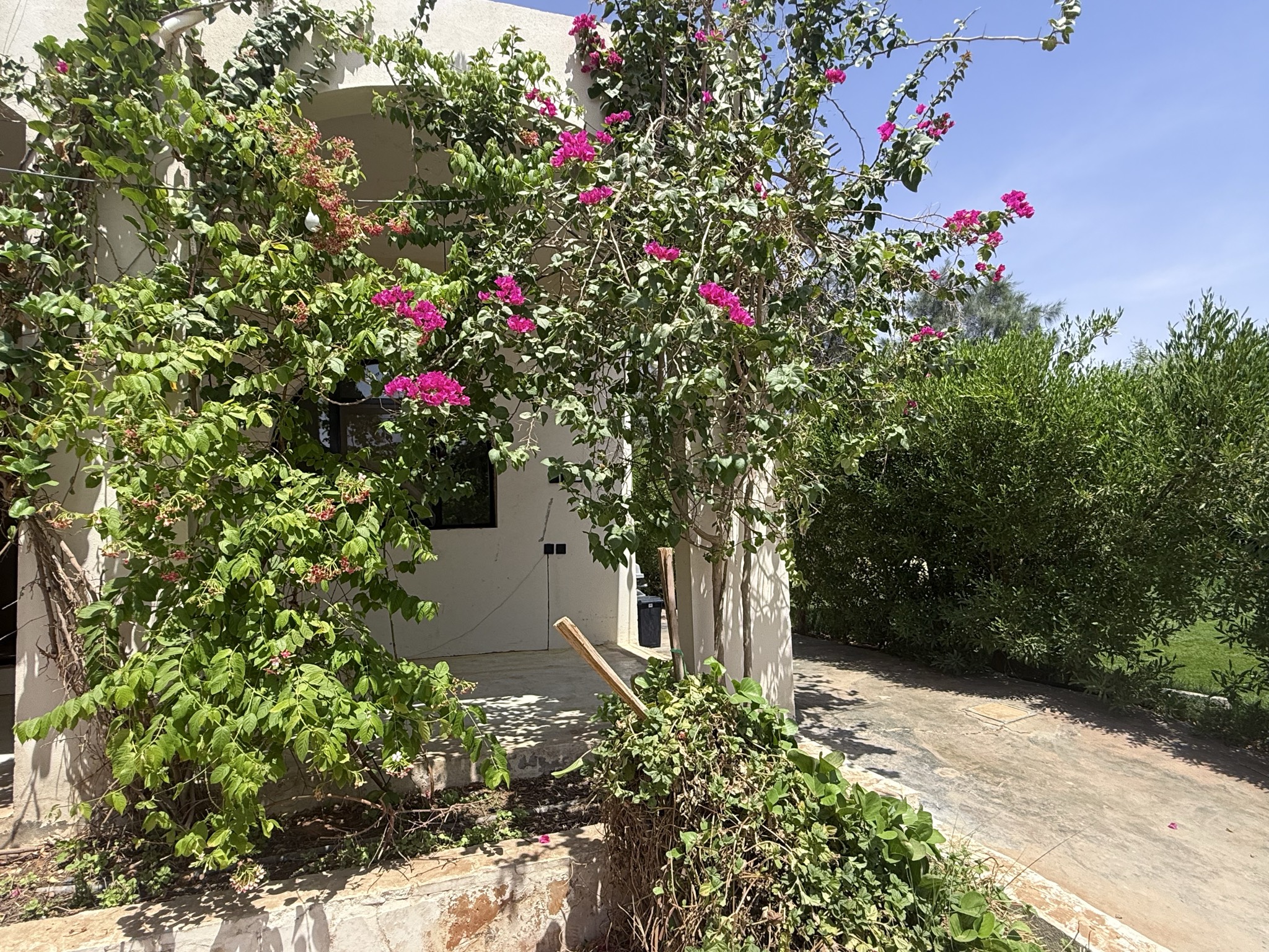 منتجع فاخر في المزاحمية
