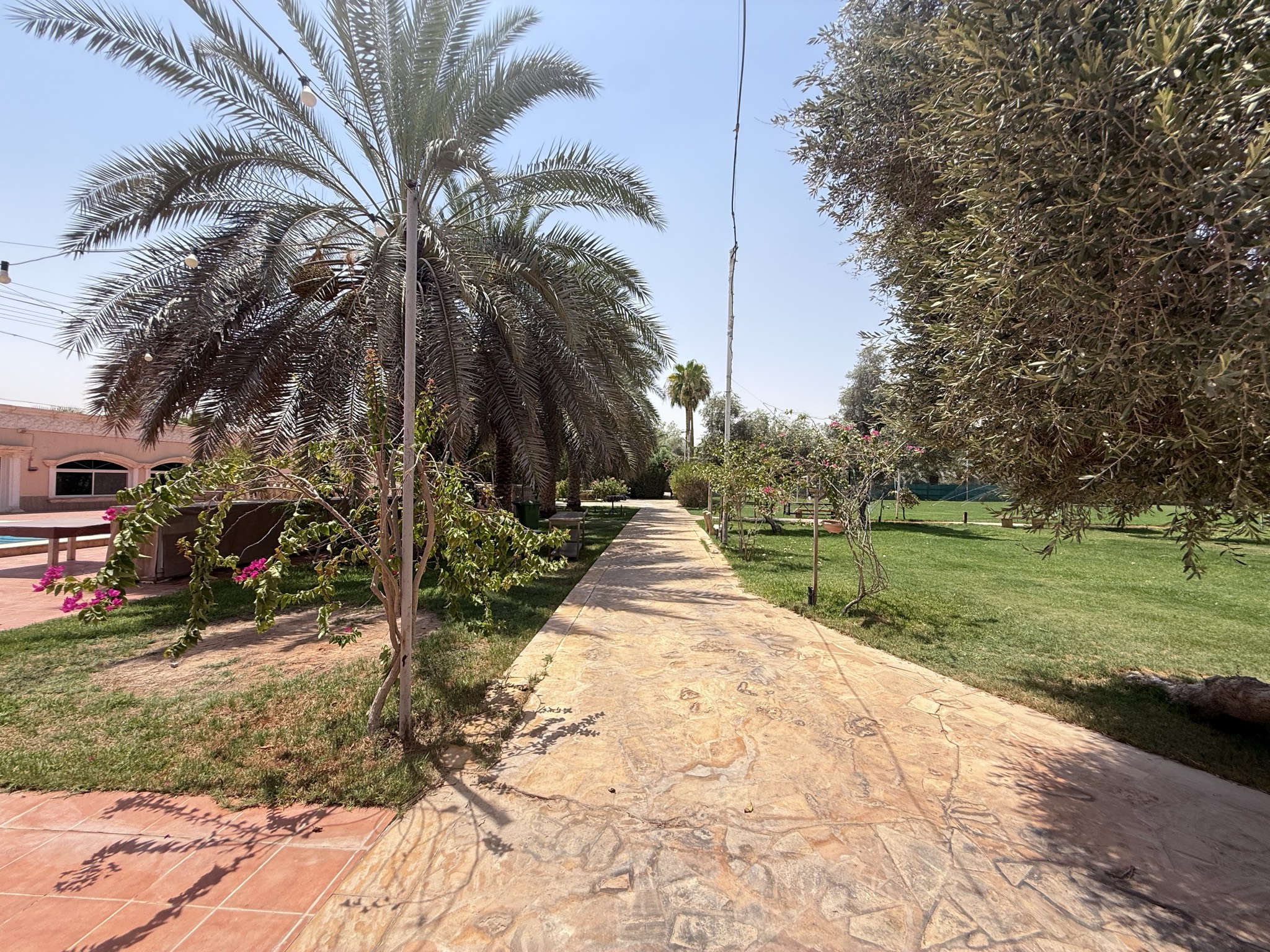 مزرعة