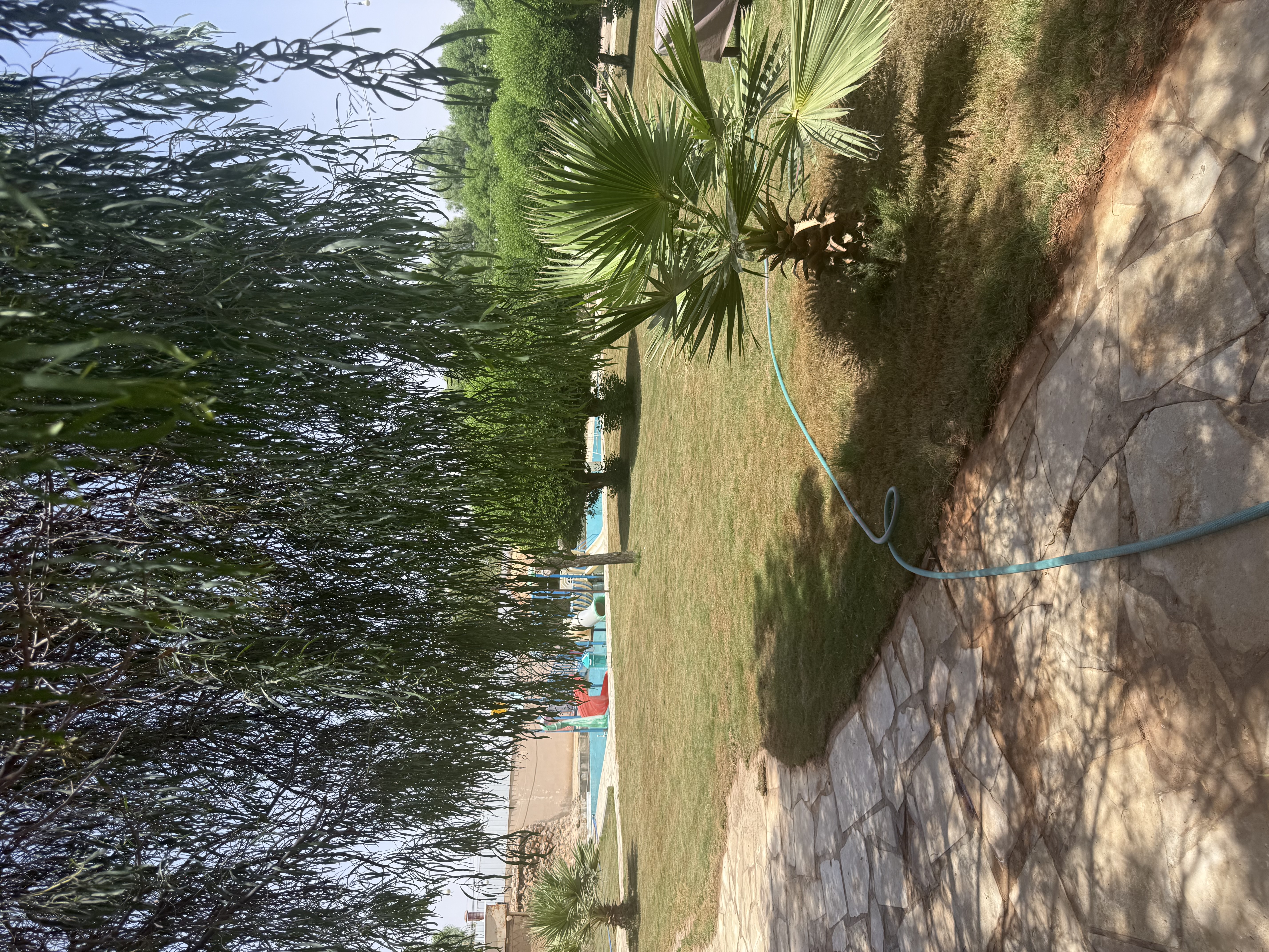 استراحة الغروب